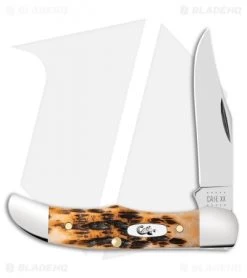 Case Folding Hunter Knife 5.25" Peach Seed Jigged Amber Bone (61165 SS)