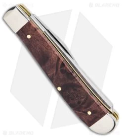 Case Mini Trapper Knife 3.5" Brown Maple Burl Wood (7207 SS) 64062 8 Case Mini Trapper Knife 3.5" Brown Maple Burl Wood (7207 SS) 64062 -The Family Tools Shop Case Mini Trapper Brown Maple Burl Wood SS BHQ 140671 jr side