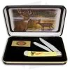 Case Whitetail Deer Trapper Knife 4.125" Yellow Synthetic (6254 SS) 2 Case Whitetail Deer Trapper Knife 4.125" Yellow Synthetic (6254 SS) -The Family Tools Shop Case Whitetail Deer Trapper Yellow Synthetic SS BHQ 42743 jr